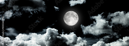 Obraz na płótnie The moon in the night sky w salonie
