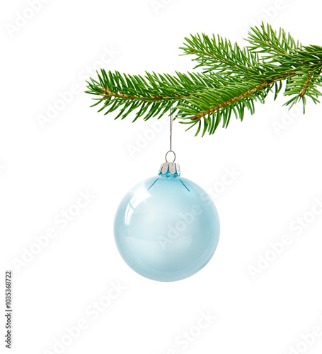 Weihnachtskugel mit Tannenzweig