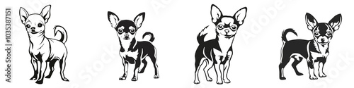 Four cute silhouette illustrations of a Chihuahua dog on a transparent background.