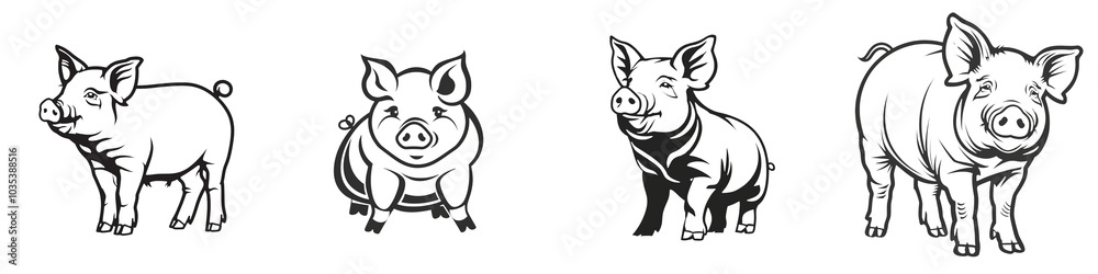 Various cute illustrations of pigs in different poses on a white isolated background. Various cute illustrations of pigs in different poses on a white isolated background.