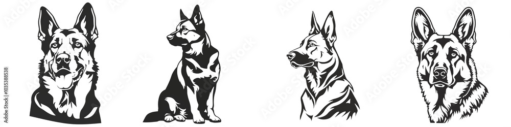 Various poses of a playful fox on a white isolated background. Various poses of a playful fox on a white isolated background.