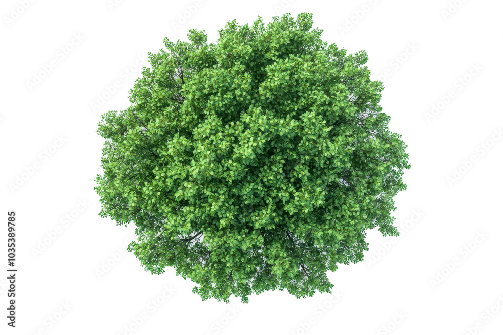 Fototapeta premium Elegant Hall Tree with Built-in Seating and Storage for Entryway Organization with Isolated on Transparent Background