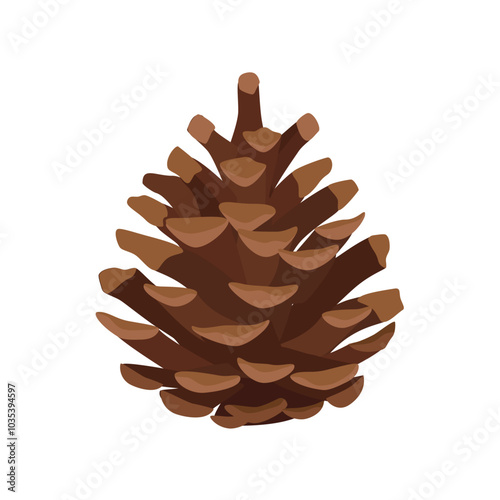 Open pine fin cone isolated on white background. Pinecone