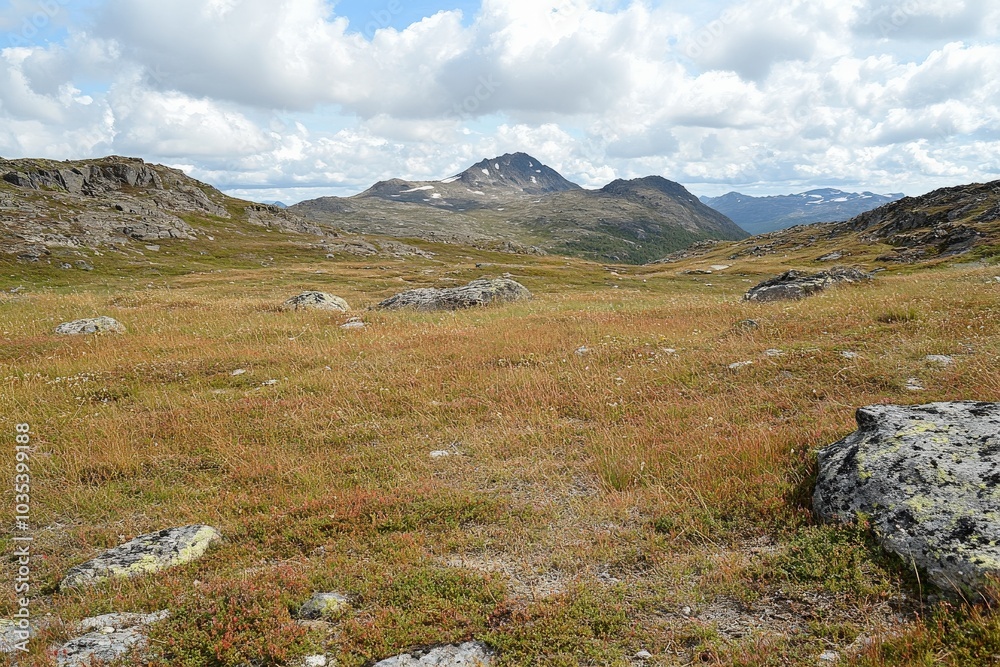Tundra Landscape. Norge Mountain Slope Plateau with Brown Stones Perspective Tundra Landscape. Norge Mountain Slope Plateau with Brown Stones Perspective