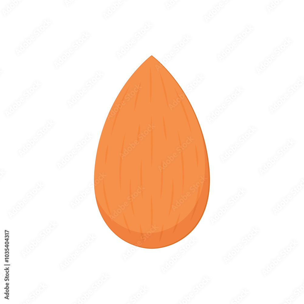 Almond vector. Almond on white background. Almond vector. Almond on white background.