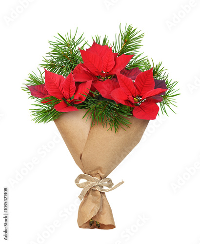 Holiday bouquet of red Poin...
