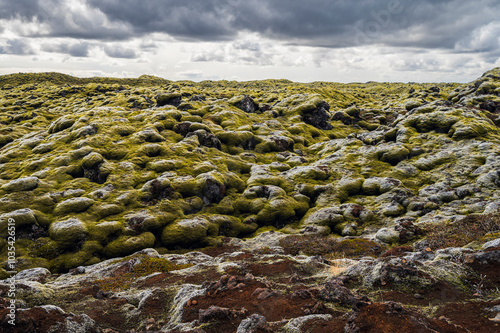 Eldhraun lava fields, nature sceneries. On the way from Vik to Hofn, Iceland photo