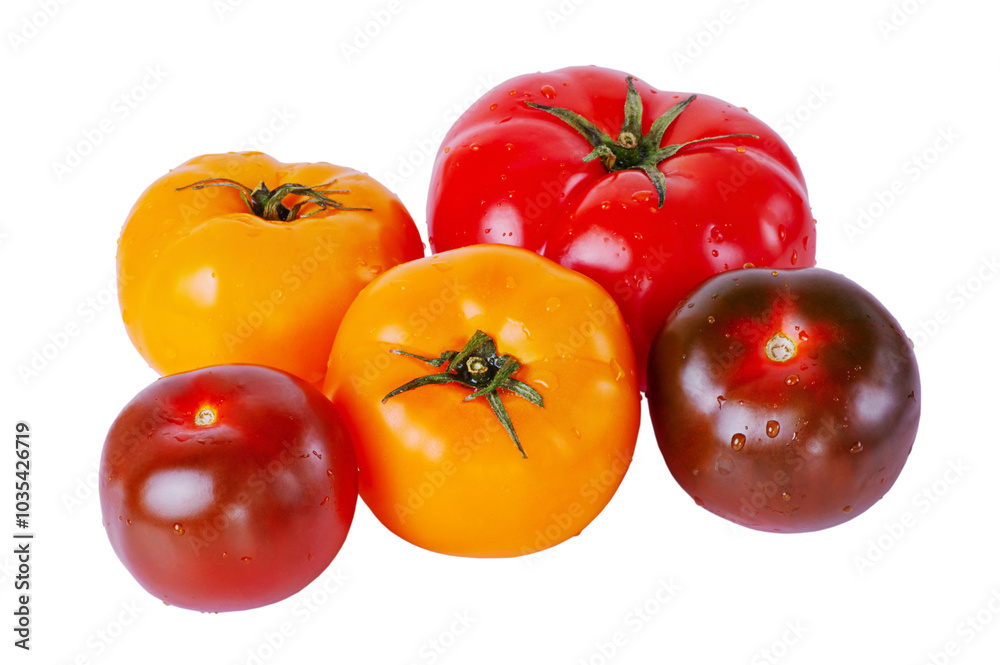 Tomatoes red, yellow and black isolate on white. Tomatoes with drops of water. Tomatoes red, yellow and black isolate on white. Tomatoes with drops of water.