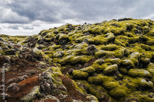 Eldhraun lava fields, nature sceneries. On the way from Vik to Hofn, Iceland