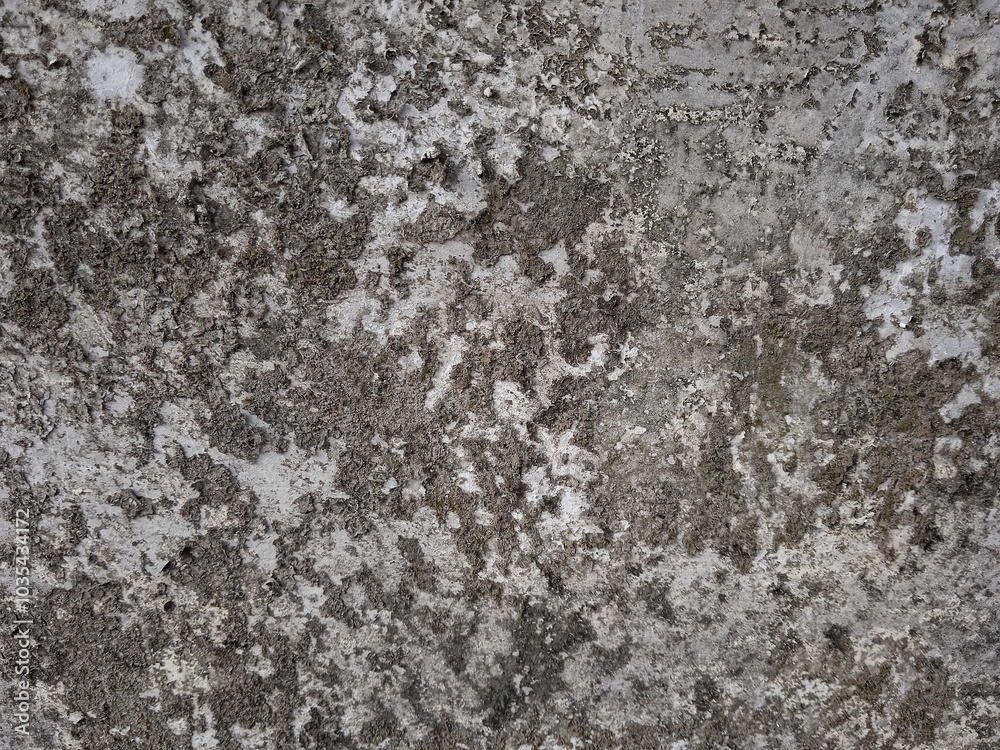 parts of the appearance of an old, porous wall parts of the appearance of an old, porous wall