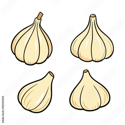 Garlic Illustration Flat Design Style white background