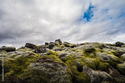 Eldhraun lava fields, nature sceneries. On the way from Vik to Hofn, Iceland photo