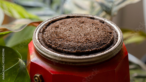 Принти на полотні Coffee grounds as organic fertilizer
