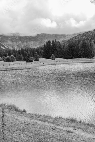 Vertical view of Javen lake on a cloudy day, located in French alps, close to the village of Megeve. Rippled waters in the foreground. Clouds on top. Monochromatic. photo