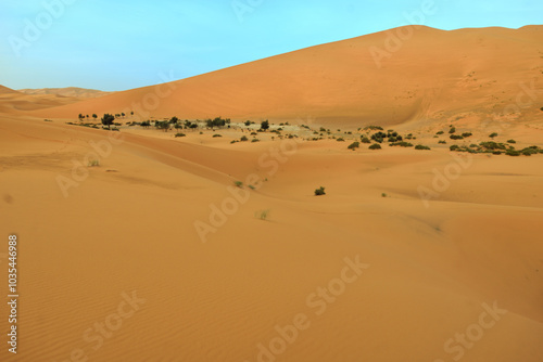 Fototapeta Naklejka Na Ścianę i Meble -  SAND DUNES AROUND MERZOUGA OASIS IN MOROCCO