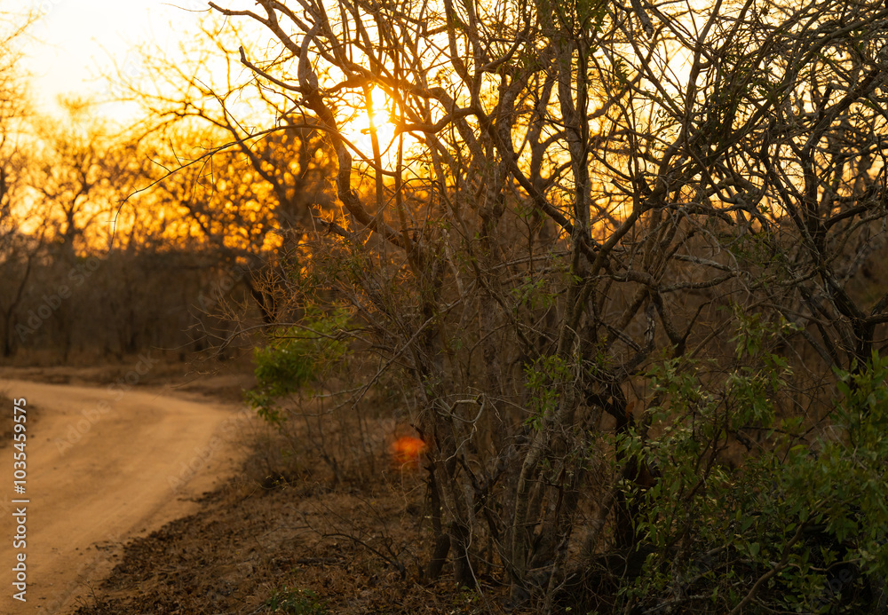 Landschaftsbild - Sonnenaufgang im Krüger National Park - Kruger Nationalpark Südafrika