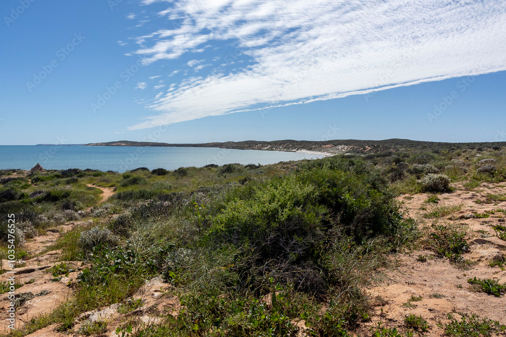 Scenic view over the Shark Bay Coast in Western Australia. Rugged outline with wild flowers and shrubs overlooking the sea and coastline. Scenic view over the Shark Bay Coast in Western Australia. Rugged outline with wild flowers and shrubs overlooking the sea and coastline.
