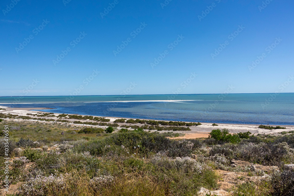 Scenic view over the Shark Bay Coast in Western Australia. Rugged outline with wild flowers and shrubs overlooking the sea and coastline. Scenic view over the Shark Bay Coast in Western Australia. Rugged outline with wild flowers and shrubs overlooking the sea and coastline.