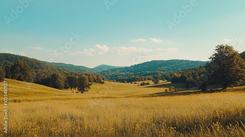 Morning light casts a serene glow over rolling hills and a solitary tree in a peaceful rural landscape