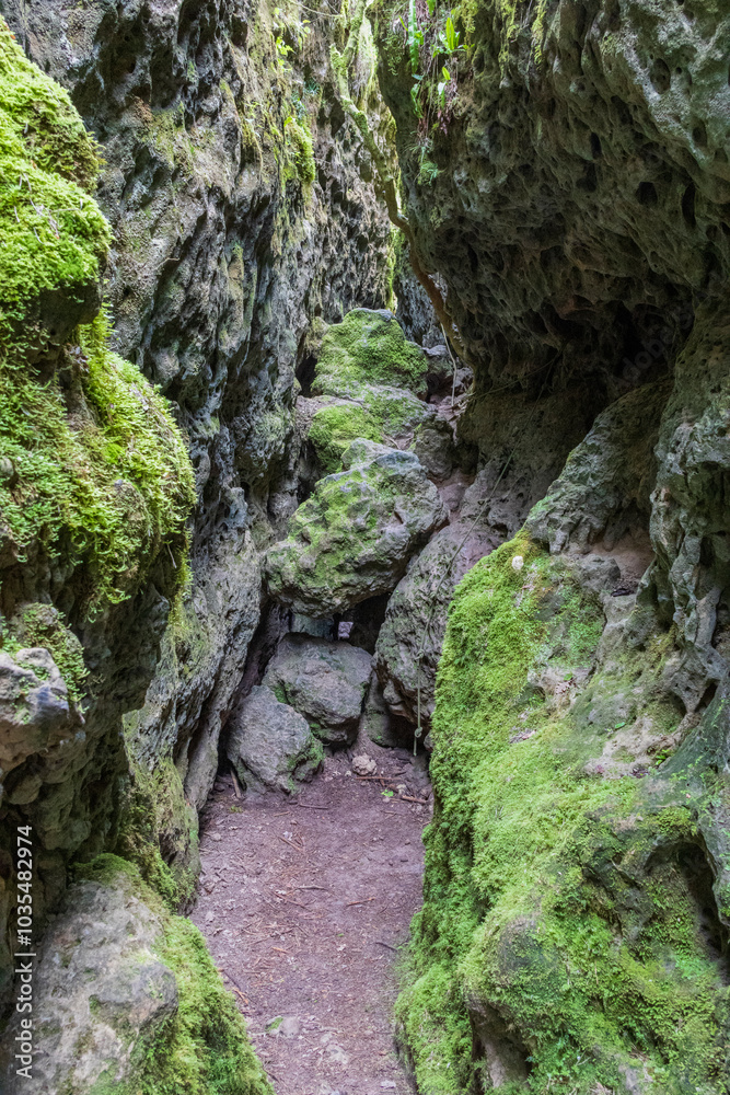Narrow ravines called Canoles on the Larzac plateau. Aveyron. Occitanie. France. Narrow ravines called Canoles on the Larzac plateau. Aveyron. Occitanie. France.