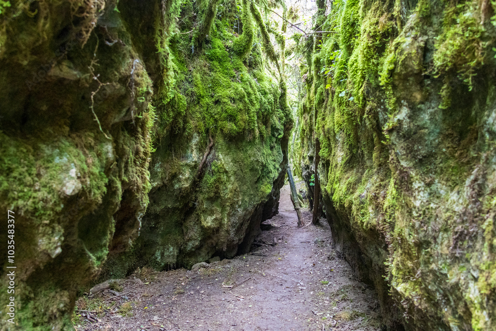 Narrow ravines called Canoles on the Larzac plateau. Aveyron. Occitanie. France. Narrow ravines called Canoles on the Larzac plateau. Aveyron. Occitanie. France.