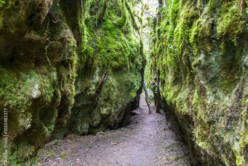 Narrow ravines called Canoles on the Larzac plateau. Aveyron. Occitanie. France.