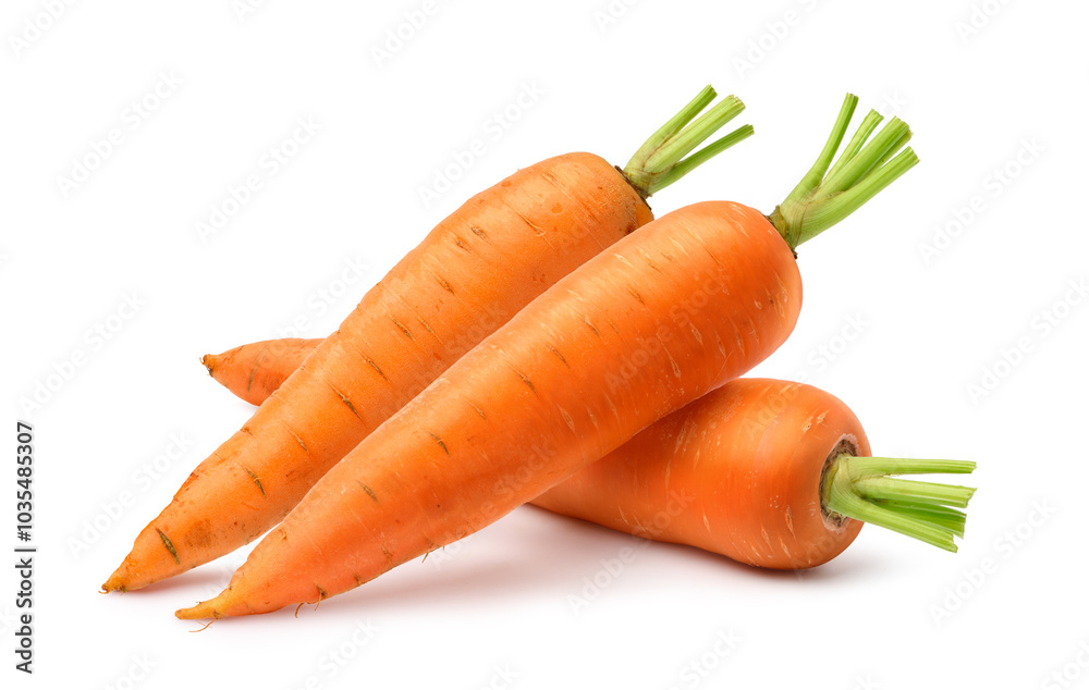 Fresh Carrots isolated on white background. Clipping path. Fresh Carrots isolated on white background. Clipping path.