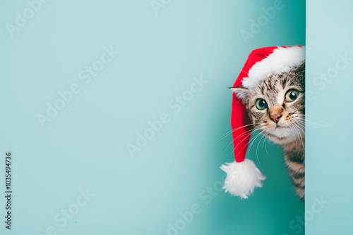 Cute tabby cat in a santa hat peeking out from around the corner