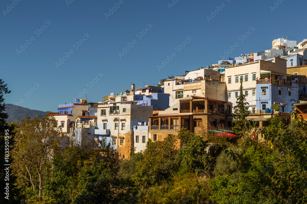 View of picturesque blue houses and vibrant rooftops on a hillside, Chefchaouen, Morocco.