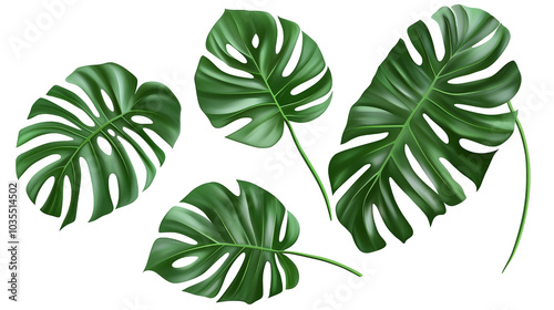 Realistic big green tropical leaves on a transparent background