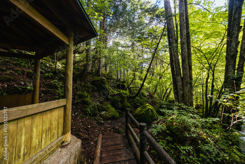 Tateshina Otaki Falls in Japan photo