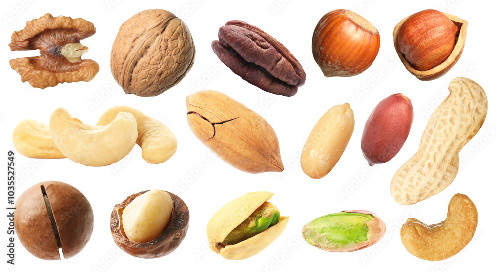 Macadamia and other nuts isolated on white, collection Macadamia and other nuts isolated on white, collection