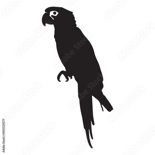 Parrot silhouette isolated - vector illustration