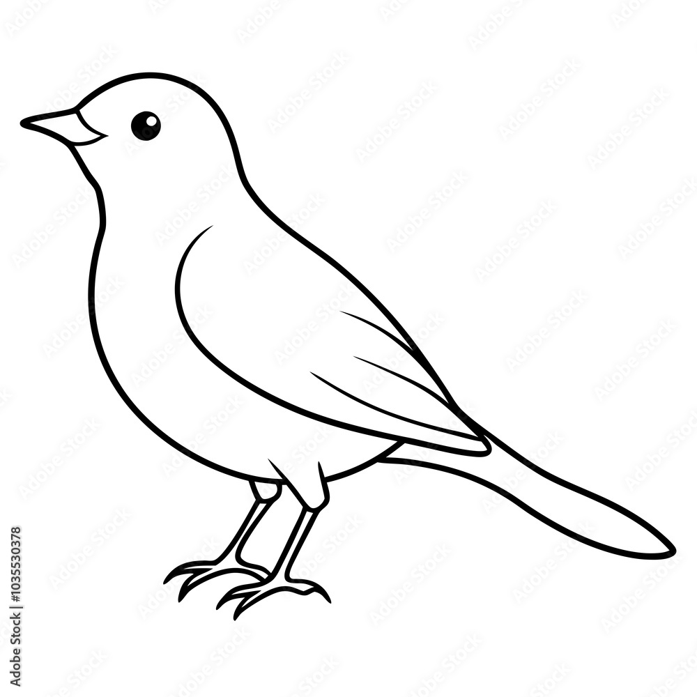 Fototapeta premium sketch of a bird