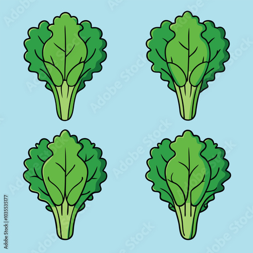 kale leaf icon in color, isolated on white background
