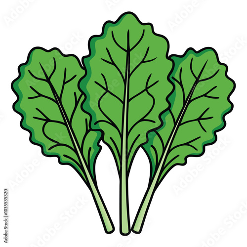 kale leaf icon in color, isolated on white background
