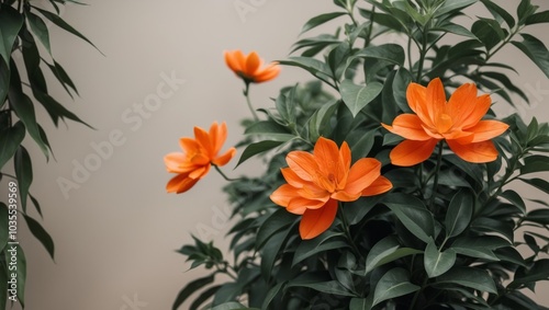 Vibrant Orange Flowers with Green Foliage. photo