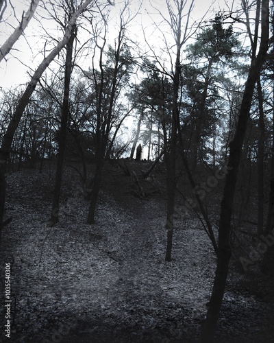 Scary silhouette, atmospheric black metal forest, foggy dark spooky forest, autumn horror atmosphere, creepy stranger