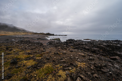 nature sceneries taken from Fauskasandur beach along the route 1 between hofn and Egilsstadir, Iceland photo