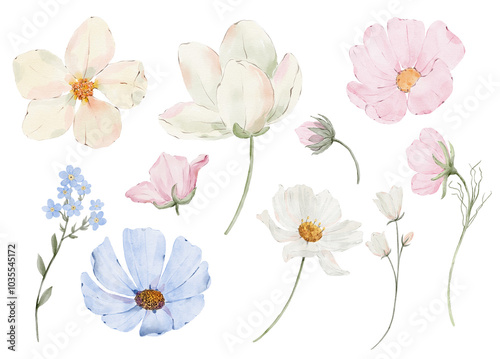 Set of watercolor flowers. Hand drawn wildflower design elements. Yellow, pink, blue flowers.