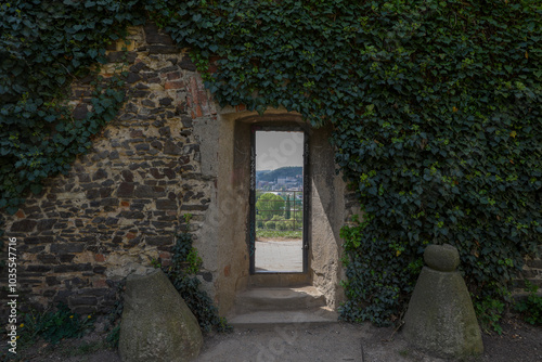 A charming doorway, wrapped in green ivy, invites visitors to enjoy a splendid view of lush landscapes beyond.