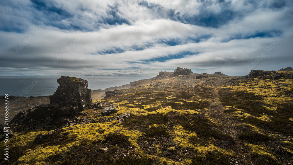 Fototapeta premium nature sceneries taken from Fauskasandur beach along the route 1 between hofn and Egilsstadir, Iceland