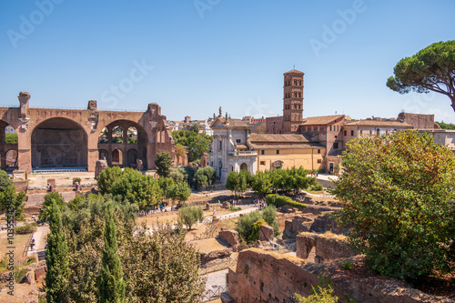 Photography Looking down from  the Domus Tiberiana on the Palatine Hill towards the Basilica of Maxentius in the Roman Forums