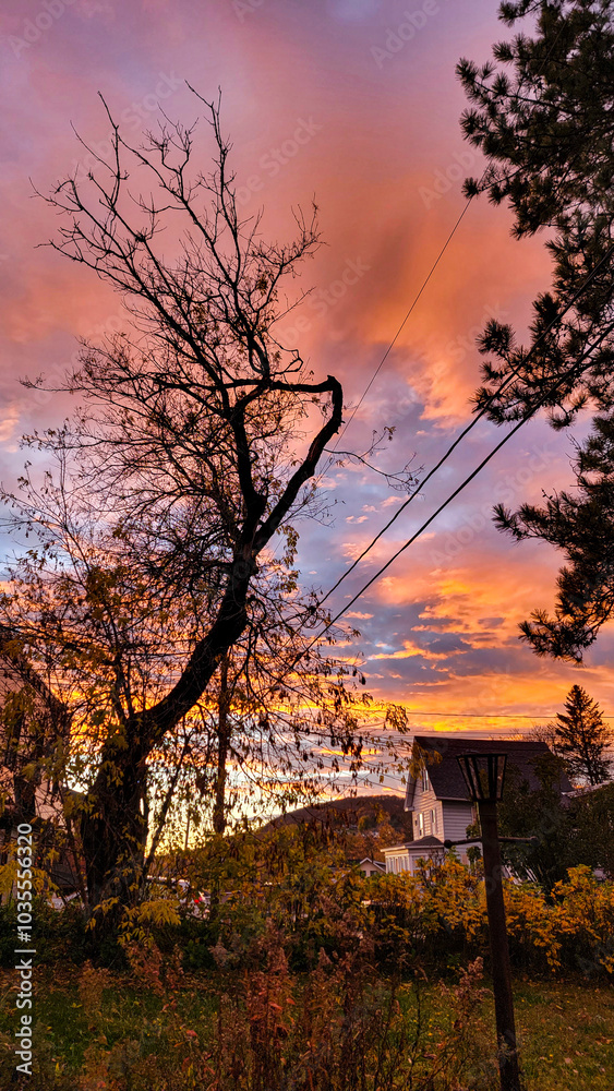Dreamy Horizon Blush Pink Sunset Beneath Cotton Candy Clouds Dreamy Horizon Blush Pink Sunset Beneath Cotton Candy Clouds