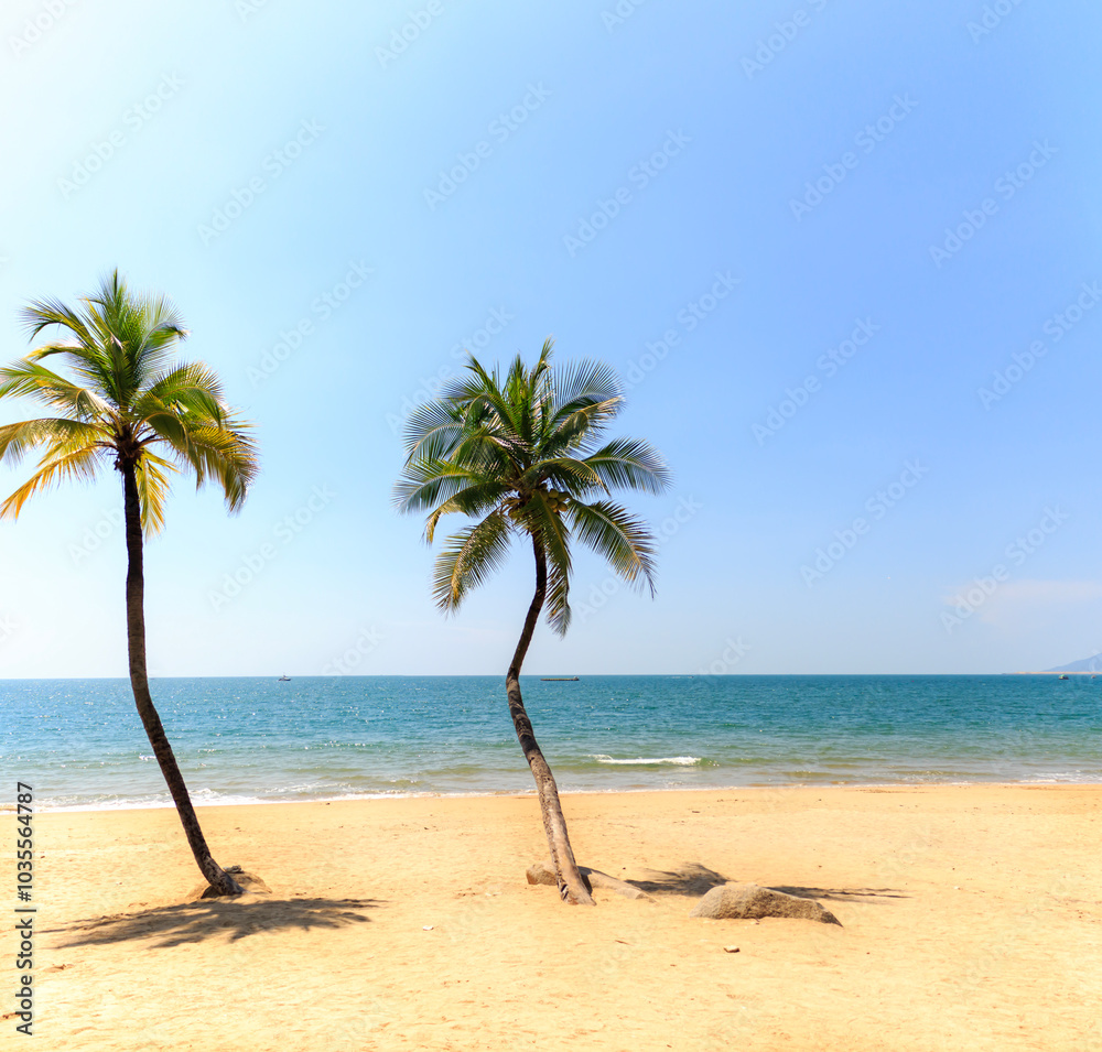 Obraz premium Sanya Beach, Hainan Island, China. palm tree on the beach. 