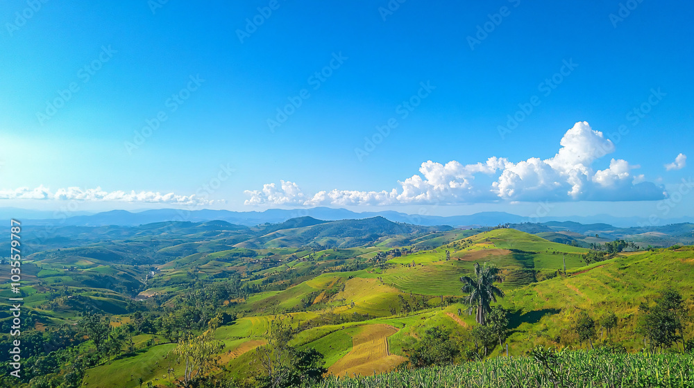 Fototapeta premium A breathtaking view of rolling hills under a clear blue sky.
