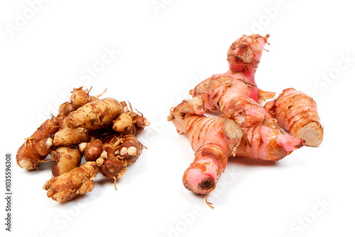 top view of aromatic ginger or sand ginger and Fresh galangal isolated on white background. spices or herb for cooking or traditional medicine