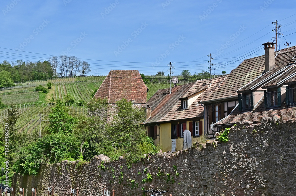 Case e strade del villaggio di Riquewihr, Alsazia, Francia, Alto Reno, Grand Est Case e strade del villaggio di Riquewihr, Alsazia, Francia, Alto Reno, Grand Est