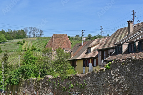 Case e strade del villaggio di Riquewihr, Alsazia, Francia, Alto Reno, Grand Est