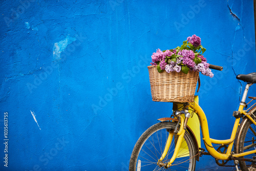 Lilac flowers in a basket on a yellow bike against a blue wall